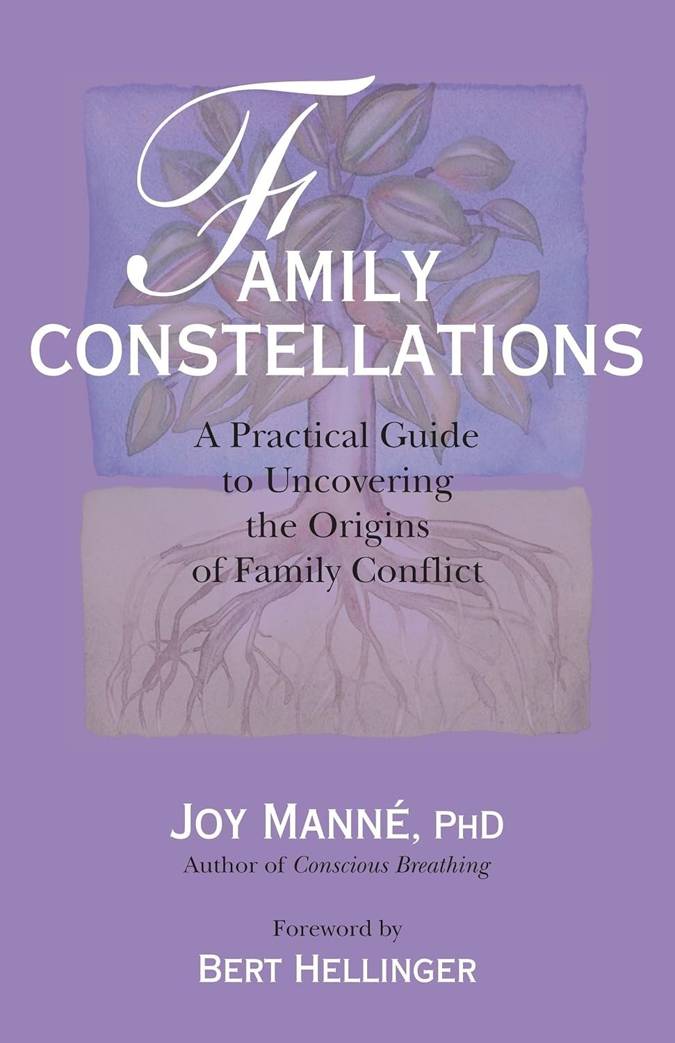 Family Constellations Paperback – Illustrated, 22 September 2009 by Joy Manne Ph.D.